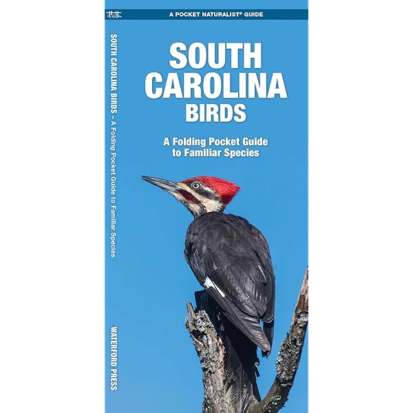 Amazon.com: Spirits of the Air: Birds and American Indians in the